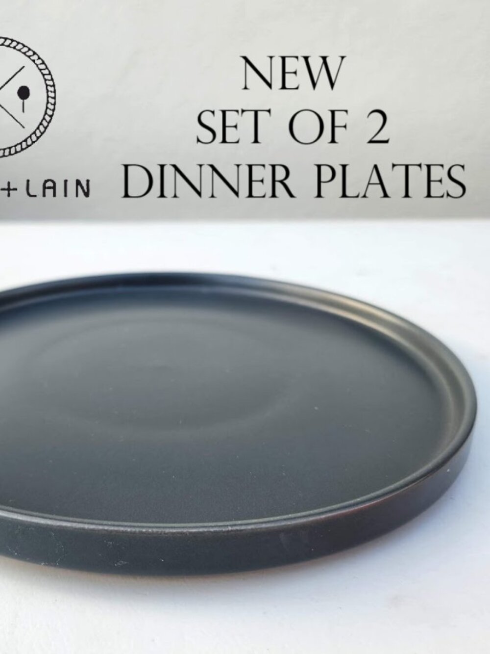 NEW 2X Stone Lain Stoneware Round Dinner Plate Dinnerware Gray Replacement Matte